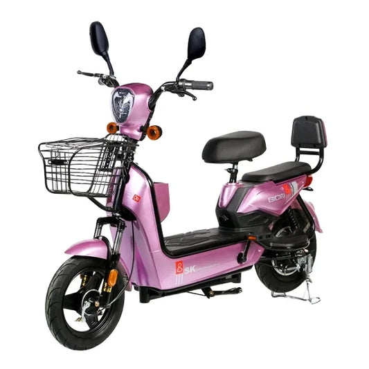 Bicicleta Eléctrica de Plomo Ácido